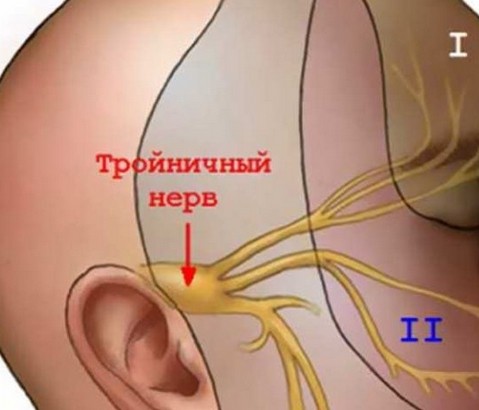 с утра болит голова справа