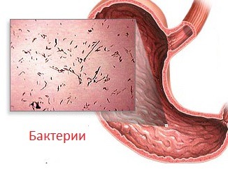 Болит желудок голова озноб