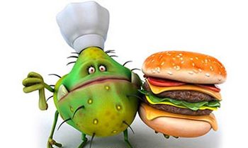 Болит желудок голова озноб