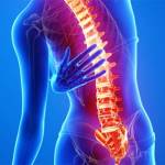 Болят лимфоузлы внизу спины