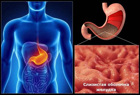 При приеме пищи болит спина