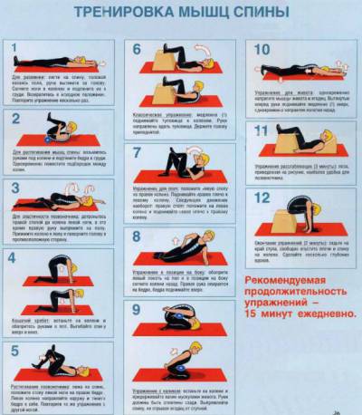 Упражнения для здоровья спины Упражнения для здоровья спины