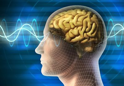 Болит голова слабость недомогание