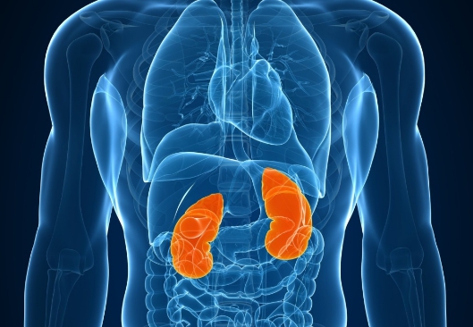 Утром болит спина после сна потом проходит