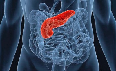 Почему болит спина в области ребер справа